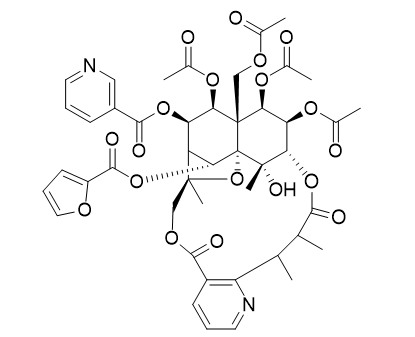 Hyponine E