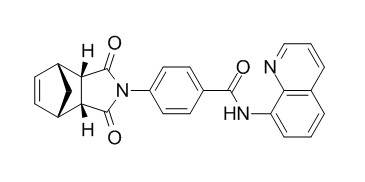 IWR-1-endo