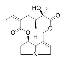 Integerrimine