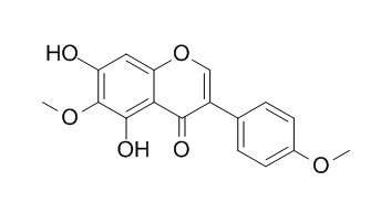 Irisolidone