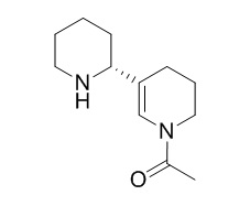 Isoammodendrine