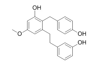 Isoarundinin II