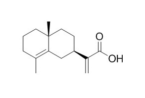 Isocostic acid