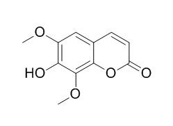 Isofraxidin