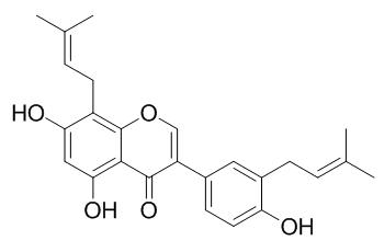 Isolupalbigenin