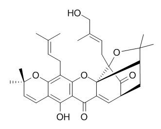 Isomorellinol