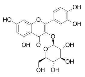 Isoquercitrin