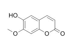 Isoscopoletin