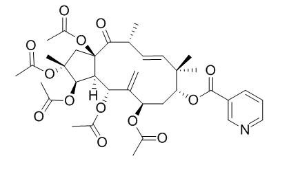 Jatrophane I