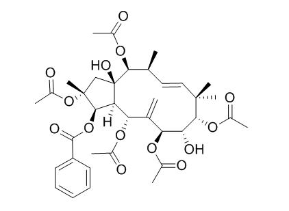 Jatrophane VI