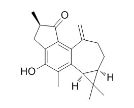 Jatropholone B