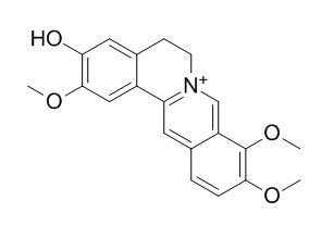 Jatrorrhizine