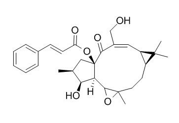 Jolkinol A