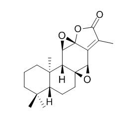 Jolkinolide B