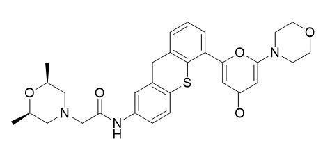 KU-60019