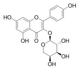 Kaempferol 3-O-arabinoside