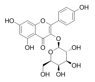 Kaempferol-3-O-galactoside