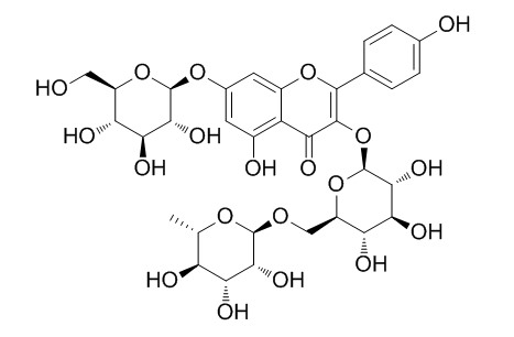 Kaempferol 3-O-rutinoside 7-O-glucoside