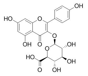 Kaempferol-3-beta-O-glucuronide