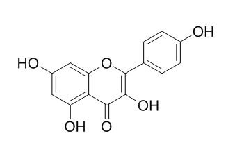 Kaempferol