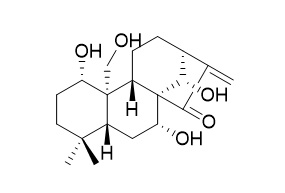 Kamebakaurin