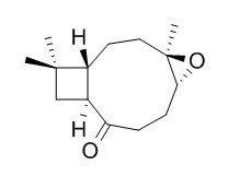 Kobusone