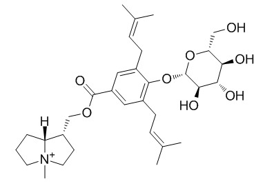 Kumokirine