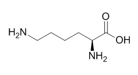 L-lysine