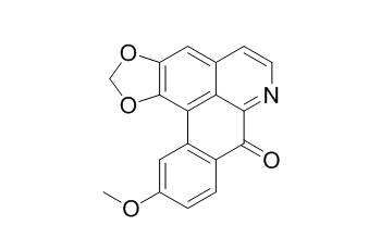 Lauterine