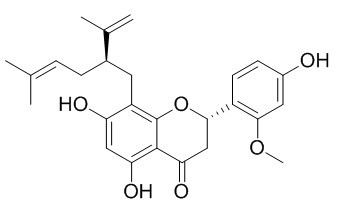 Leachianone A