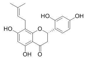 Leachianone G