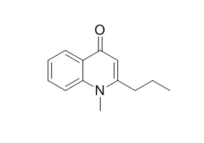 Leptomerine