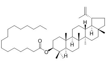 Lupeol palmitate