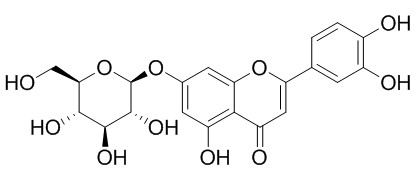 Luteolin-7-O-glucoside