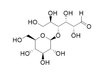 Maltose