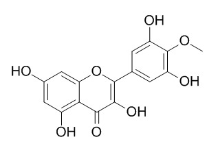 Mearnsetin