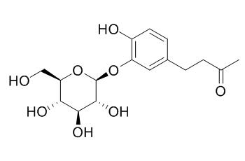 Myzodendrone