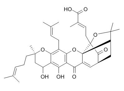 Neogambogic acid