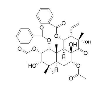 Neoorthosiphol A