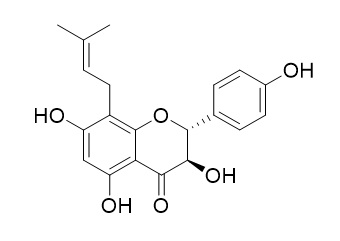 Neophellamuretin