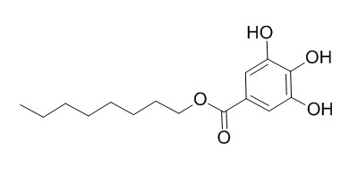 Octyl Gallate