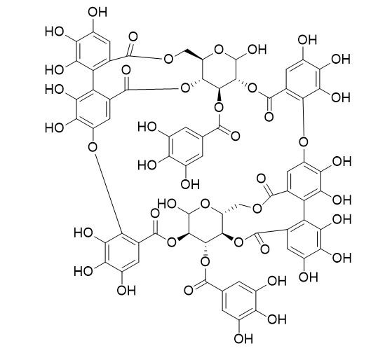 Oenothein B