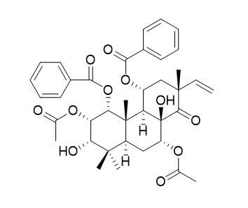 Orthosiphol A