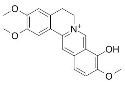 Palmatrubine