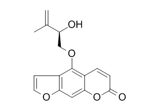 Pangelin