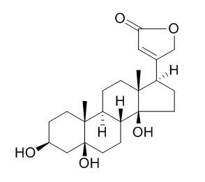 Periplogenin