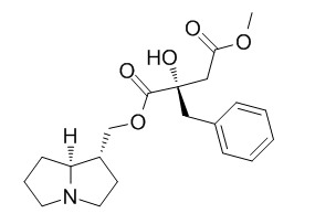 Phalaenopsine T