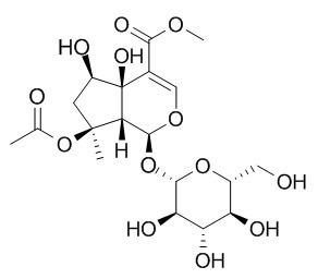 Phlorigidoside B