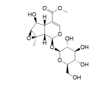 Phlorigidoside C