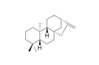 (-)-Phyllocladene